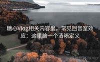 糖心Vlog相关内容里，常见回音室效应：这里给一个清晰定义