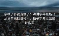 拿柚子影视当例子：讲讲字幕立场（从语句里找信号），柚子字幕组出过什么事