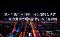 拿木瓜影视当例子：什么叫镜头语言——从直觉到严谨的解释，木瓜电影解说
